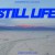 Purchase Still Life (A Tribute To Philipp Glass) Mp3