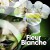 Purchase Fleur Blanche Mp3