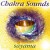 Purchase Chakra Sounds CD1 Mp3