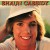 Purchase Shaun Cassidy (Vinyl) Mp3