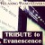 Purchase Tribute To Evanescence Mp3