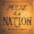 Purchase Pulse Of A Nation Mp3