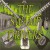 Purchase The Swamp Drivers Mp3