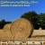 Purchase Harvest Mp3