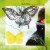 Purchase Ophiuchus Butterfly Mp3