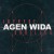 Buy Agen Wida (With Skrillex) (CDS)