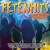 Purchase Fetenhits Discofox Die Deutsche Vol. 4 CD1 Mp3