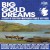 Purchase Big Gold Dreams: A Story Of Scottish Independent Music 1977-1989 CD1 Mp3