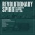 Purchase Revolutionary Spirit (The Sound Of Liverpool 1976-1988) CD2 Mp3