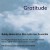 Buy Gratitude (With His Afro Latin Jazz Ensemble)