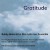 Purchase Gratitude (With His Afro Latin Jazz Ensemble) Mp3