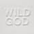 Buy Wild God