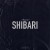 Purchase Shibari (CDS) Mp3