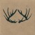 Purchase Antler Mp3