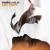 Purchase Fabriclive Mixed By Cut Copy Mp3