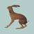 Buy Vashti Bunyan Lookaftering Expanded 