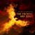 Purchase The Phoenix Has Risen Mp3