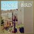 Purchase Shore Bird Mp3