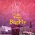 Purchase Life & Times Of Bigfly (With Fly Anakin) Mp3