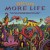 Purchase More Life Mp3