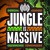 Purchase Jungle Is Massive CD1 Mp3