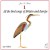 Buy All The Bird Songs Of Britain & Europe CD1