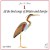 Purchase All The Bird Songs Of Britain & Europe CD1 Mp3