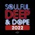 Purchase Soulful Deep And Dope 2022 Mp3