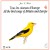 Buy All The Bird Songs Of Britain & Europe CD4