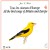 Purchase All The Bird Songs Of Britain & Europe CD4 Mp3