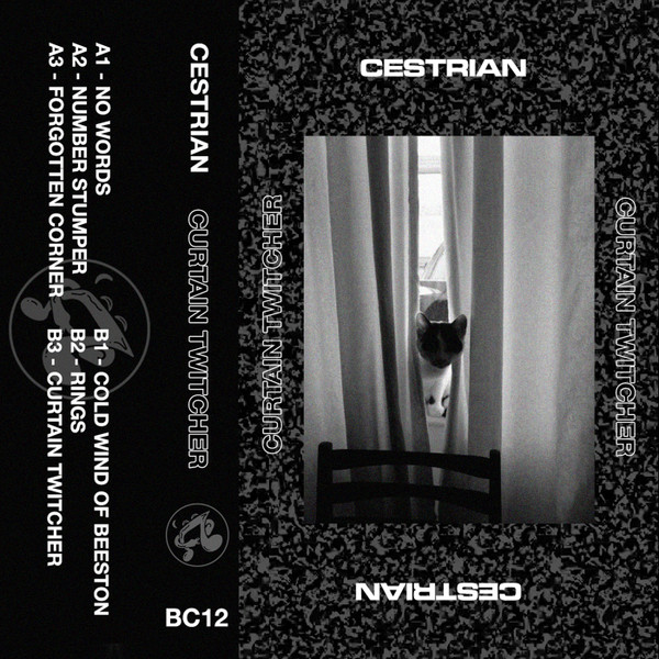 curtain-twitcher-2020-techno-cestrian-download-techno-music-download-number-stumper